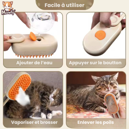 Brosse vapeur - Rechargeable | Vapy®