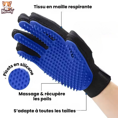 Gant massage et ramasse poils | Petty®