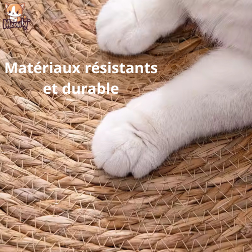 Griffoir pour chat | Carpet®