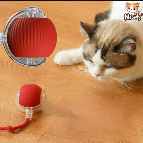 Balle magique - Rechargeable | InterBall®
