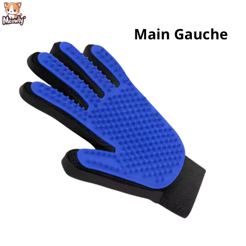 Gant massage et ramasse poils | Petty®