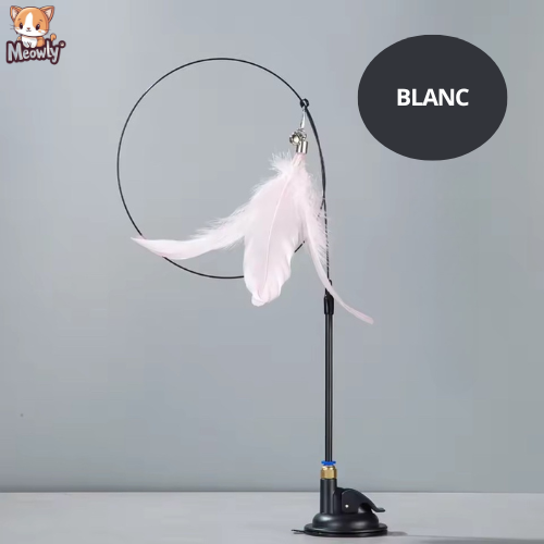 Ventouse avec plumeau stimulant | Hunjump®