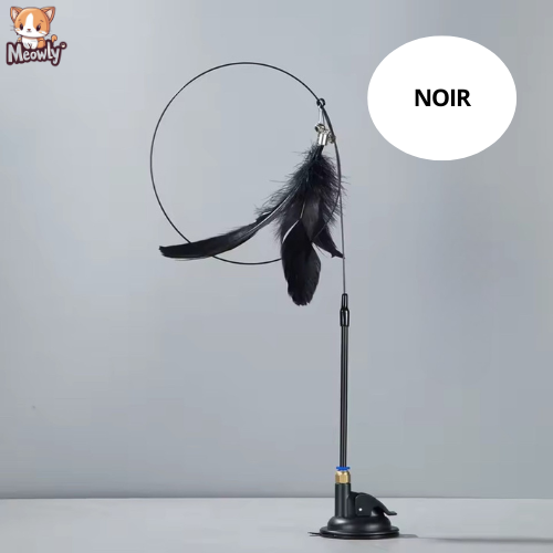 Ventouse avec plumeau stimulant | Hunjump®