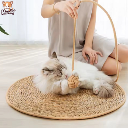 Griffoir pour chat | Carpet®