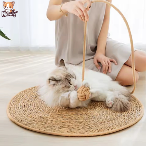 Griffoir pour chat | Carpet®