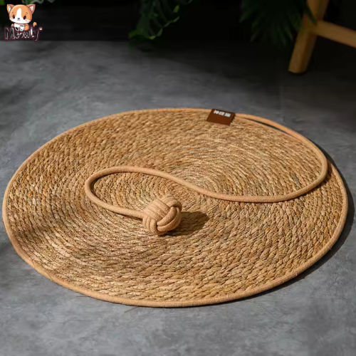 Griffoir pour chat | Carpet®